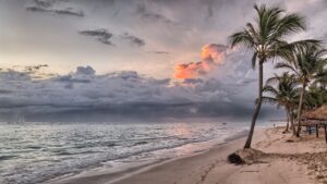 beach sea coast tree water sand 646920 pxhere.com (2)