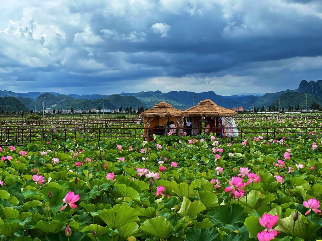 15 Photos That'll Make You Want To Go To Yunnan image