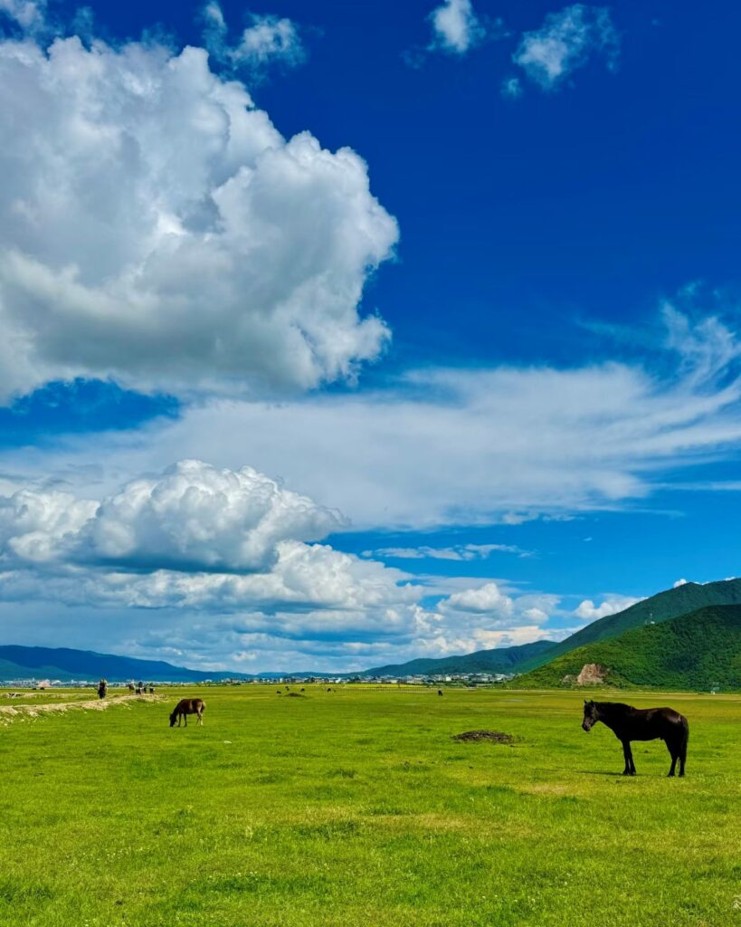 15 Photos That'll Make You Want To Go To Yunnan image